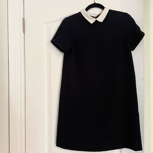 Navy blue Zara collared mini dress